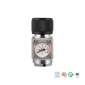 Mini Soda akışı/taslak bira/ev demlemek <span class=keywords><strong>CO2</strong></span> regülatörü kahve makinesi veya soda makinesi - Product Image 3