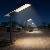 Lampadaires solaires LED extérieurs personnalisés à détecteur de mouvement 100 W monocristallins IP66 étanches longue durée pour routes