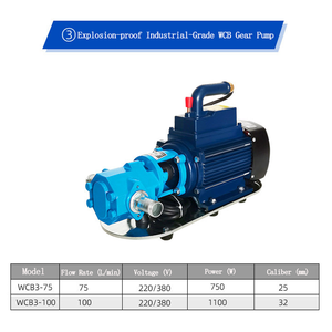 Pompe à engrenages basse pression industrielle QY pour un contrôle précis du débit en usine - Product Image 2