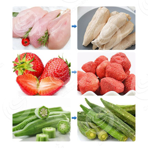 Machine de lyophilisation alimentaire sous vide, équipement de séchage par sublimation et condensation pour fruits, légumes et aliments pour animaux de compagnie - Product Image 3