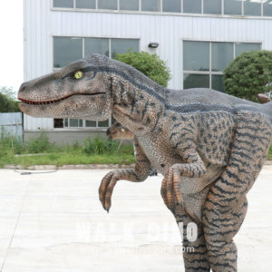 Costume de dinosaure Velociraptor léger (15 kg) pour spectacle, réaliste, pour adulte, avec pattes cachées, Sic <5 - Product Image 4