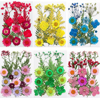 Vente en gros DIY fleurs séchées mélangées plantes maquillage Nail Art téléphone cadre décoration vraies fleurs pressées naturelles pour l'art de la résine