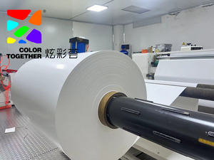 Control de calidad e interpretación de imágenes para <span class=keywords><strong>película</strong></span> de rayos X de diagnóstico - Product Image 5