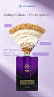 Poudre de Milkshake au Collagène pour la Post-partum et la Lactation, Saveur Chocolat, avec Fer, Biotine, Galactogogue et Herbes pour Maman Allaitante