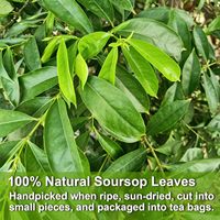Thé aux feuilles de corossol (graviola) séchées 100% naturelles, de qualité supérieure, en sachets