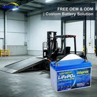 Batería de vehículo eléctrico industrial de 12V 120AH sin mantenimiento, celda LiFePO4 para montacargas de servicio pesado, CE FCC RoHS UN38.3