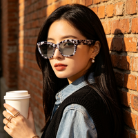 Lunettes de soleil unisexes classiques tendance à motif léopard pour hommes et femmes, de marque OEM, de créateur, de luxe, de haute qualité