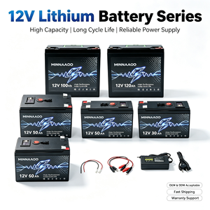 Baterai Lithium LiFePO4 <span class=keywords><strong>12V</strong></span> 60Ah Siklus Dalam, Pengganti Baterai Asam Timbal untuk RV, Kapal, dan Cadangan Tenaga Surya - Product Image 1