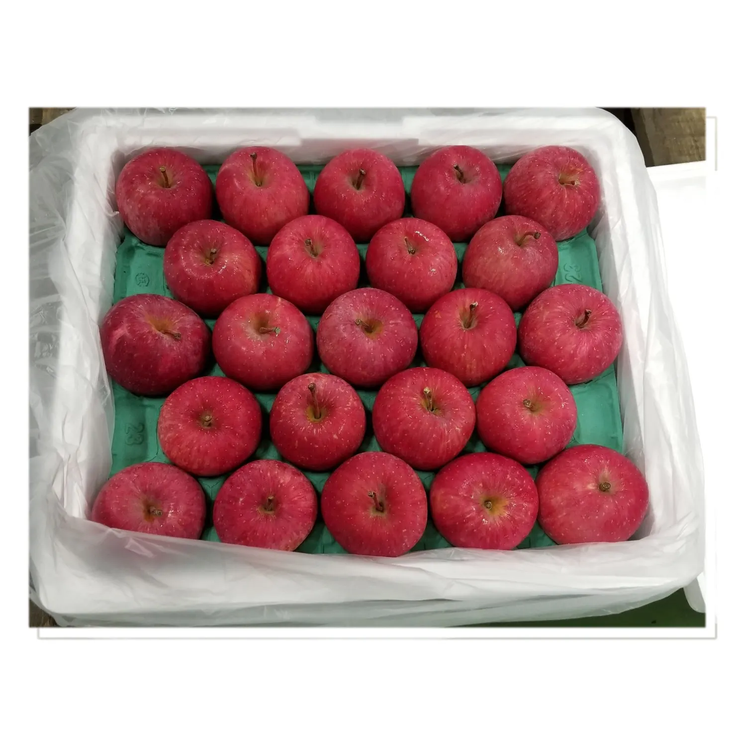 Stable supply flavor sweetness fruit fresh apples for wholesale