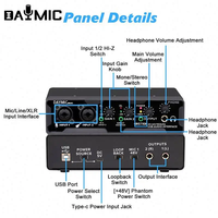 DM202 + 87U Équipement spécial de doublage professionnel Carte son Microphone Ensemble de sons