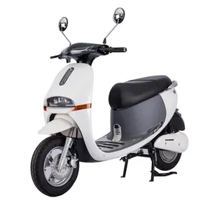 GOGO 1500w Wholesale Powerful Lithium Battery Electric Motorcycle With High Quality