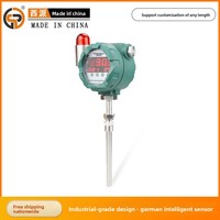 Termometer Layar Digital Pengontrol Suhu PT100 Tahan Panas Probe Baja Tahan Karat 200mm Anti Ledakan dengan Alarm Suara
