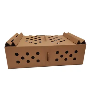 Wholesale customized die cut paper carrying transport live pet poultry corrugated board chicks box carton