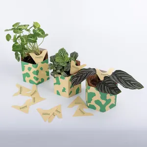 Cardboard Corrugated Packaging Box Brown Plantable flower Greens Paper Tree Package box for Live Plant Trees