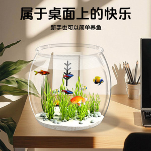 Aquarium sphérique rond en plastique transparent pour poissons rouges et plantes, décoration d'intérieur - Product Image 4