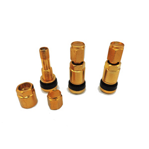 Vanne à pneu sans chambre à air, livraison gratuite, couleur aluminium chromé <span class=keywords><strong>TPMS</strong></span> tr525 - Product Image 6