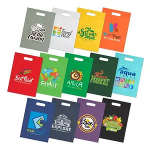 Custom Logo Printed Eco Reusable Non Woven Flat Pocket Small Non-Woven Gift Tote Bag D Handle