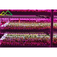 Système de culture hydroponique modulaire multi-niveaux de grande taille |   Solution d'agriculture verticale haute densité, structure en acier galvanisé à chaud