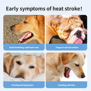 Eigenmarken-Sommer-Kühlspray für Haustiere: Eis-Kühlung, antibakteriell, schnelle physikalische Kühlung gegen Hitze für Hunde und Katzen – für den Innen- und Außenbereich - Product Image 5