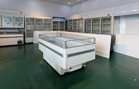 Refroidisseur d'air autonome de qualité professionnelle pour supermarché, vitrine de produits frais et viandes, contrôle numérique de la température, serrure de porte 304
