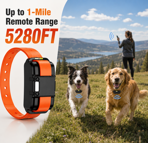 <span class=keywords><strong>Collier</strong></span> <span class=keywords><strong>anti</strong></span>-<span class=keywords><strong>aboiement</strong></span> intelligent pour chien avec écran couleur LED rechargeable 1600M, dispositif <span class=keywords><strong>anti</strong></span>-<span class=keywords><strong>aboiement</strong></span> <span class=keywords><strong>professionnel</strong></span>, sensibilité réglable - Product Image 3