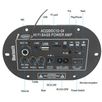 Dahili bluetooth MIC girişi ile yüksek sınıf C8 dijital güç FM radyo ev ses kullanımı için DC12V 24V AC110V 220V amplifikatör kurulu