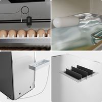 Incubateur d'œufs professionnel automatique pour élevages de poulets, système de retournement d'œufs dédié, incubateur d'œufs 5280