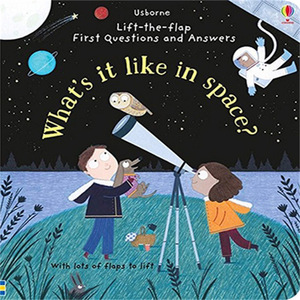 Libro per la prima educazione dei bambini: sviluppo cognitivo e concentrazione - Libro con finestrelle 'Le prime <span class=keywords><strong>domande</strong></span> e le risposte' in carta rigida perfetta - Product Image 1