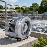 Souffleur d'air électrique monophasé 220V haute pression pour l'aération des eaux usées