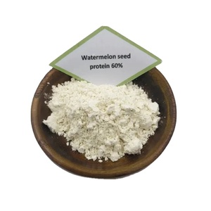 Venta al por mayor muestra gratis OEM personalización 60% 70% polvo de proteína de semilla de sandía para exportación - Product Image 3