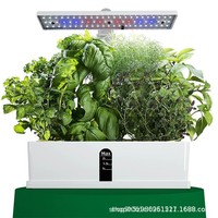 Máquina de Cultivo Hidropónico Inteligente Raylights con LED, para Uso Doméstico, Totalmente Automática, IP42, Equipo de Cultivo sin Suelo, Fácil de Cultivar