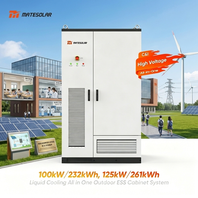 All-in-one BESS Cabinet LifePO4 Battery Energy Storage Electric 100kW 232kWh 125kw 261kwh Solar Power Generation System