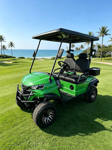 Voitures de golf électriques 2 places, buggy personnalisable, véhicule tout-terrain, véhicule de patrouille, véhicule de réception, homologué DOT EEC CE pour les routes non publiques - Product Image 1