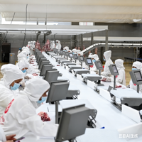Ligne de convoyage industrielle intelligente pour abattoir avec suivi des données et traitement automatisé