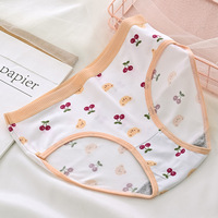 Culottes hipster pour femmes grandes tailles, motif floral, coton respirant, sous-vêtements intimes, style Lolita pour adultes