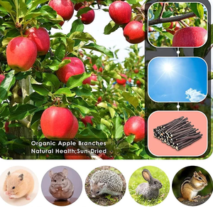 Jouets à mâcher interactifs modernes en bois pour animaux de compagnie, bâtonnets à mâcher en forme de pomme en emballage carton pour lapins, chinchillas, rats, lapins d'Inde et cochons d'Inde - Product Image 4