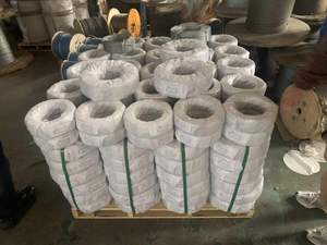 ได้รับการรับรอง En 6*7 + FC เชือกลวดเหล็กชุบสังกะสี iwr IWS พลาสติกในขนาด3มม./4มม./5มม. - Product Image 4