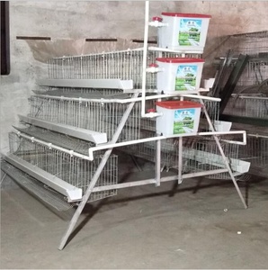 Nuevo diseño Poultry Chicken Farm batería jaulas <span class=keywords><strong>de</strong></span> pollo para asar con regulador <span class=keywords><strong>de</strong></span> presión <span class=keywords><strong>de</strong></span> <span class=keywords><strong>agua</strong></span> para la granja <span class=keywords><strong>de</strong></span> Pakistán - Product Image 6