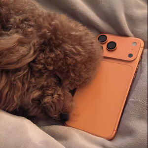 Marathons de jeux, soirées cinéma, retouche photo pour le 17 Pro Max 5G avec écran OLED 120Hz et appareil photo 48MP offrant des images immersives - Product Image 1