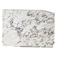 Dalles de marbre naturelles polies de Breccia médicea