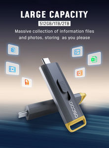 Usb <span class=keywords><strong>3.2</strong></span> Gen <span class=keywords><strong>2</strong></span>*<span class=keywords><strong>2</strong></span> Type C 512Gb 1Tb 2Tb Ssd Usb Flash Drive - Product Image 4