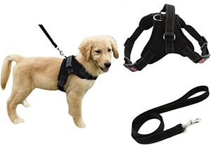 Fabricante Mayorista de Arneses Reflectantes y Transpirables para Perros Grandes con Múltiples Diseños - Product Image 3