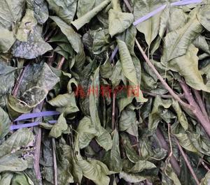 <span class=keywords><strong>Shan</strong></span> you Gan seco Acronychia pedunculata pedunculate natural hoja de tallo de madera de acronychia para hierba - Product Image 1