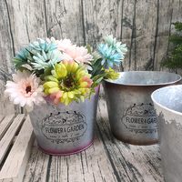 Pots de jardin en Chine Pot en métal galvanisé à herbes avec logo personnalisé seaux en fer