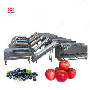 Pepino do Mar Automático Morrer Grading <span class=keywords><strong>Processing</strong></span> Machine Grader <span class=keywords><strong>Plant</strong></span> <span class=keywords><strong>Orange</strong></span> Lavagem Depilação e Classificação Linha de Produção - Product Image 3