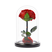 Vente en gros de fleurs décoratives de qualité supérieure pour Noël, mariage, fête des mères, roses rouges préservées sous cloche en verre pour la Saint-Valentin