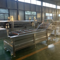 Automatische Doorlopende Groente Fruit Wasmachine Voor Appels Wortelen Aardappelen Industriële Voedselverwerkende Fabriek Motormotor Kern