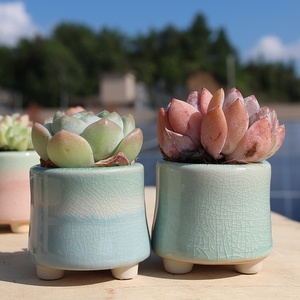 Pot de fleurs créatif arc-en-ciel, style <span class=keywords><strong>urbain</strong></span> minimaliste, moderne et simple, pour plantes succulentes, idéal pour Instagram, <span class=keywords><strong>petit</strong></span> bureau, balcon, jardinage, décoration intérieure - Product Image 4
