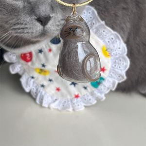 2026 Cute Handmade Transparent Cat Dog Keychain Pet Hair Storage Collections - Product Image 5