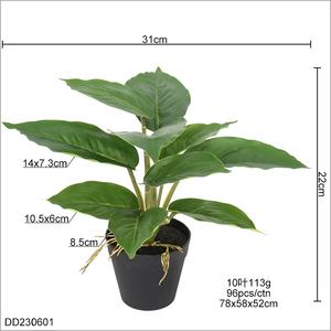 ต้นไม้ประดิษฐ์อะไกลโอเนมา ดอกไม้ปลอมเหมือนจริงสำหรับตกแต่งบนโต๊ะ - Product Image 3